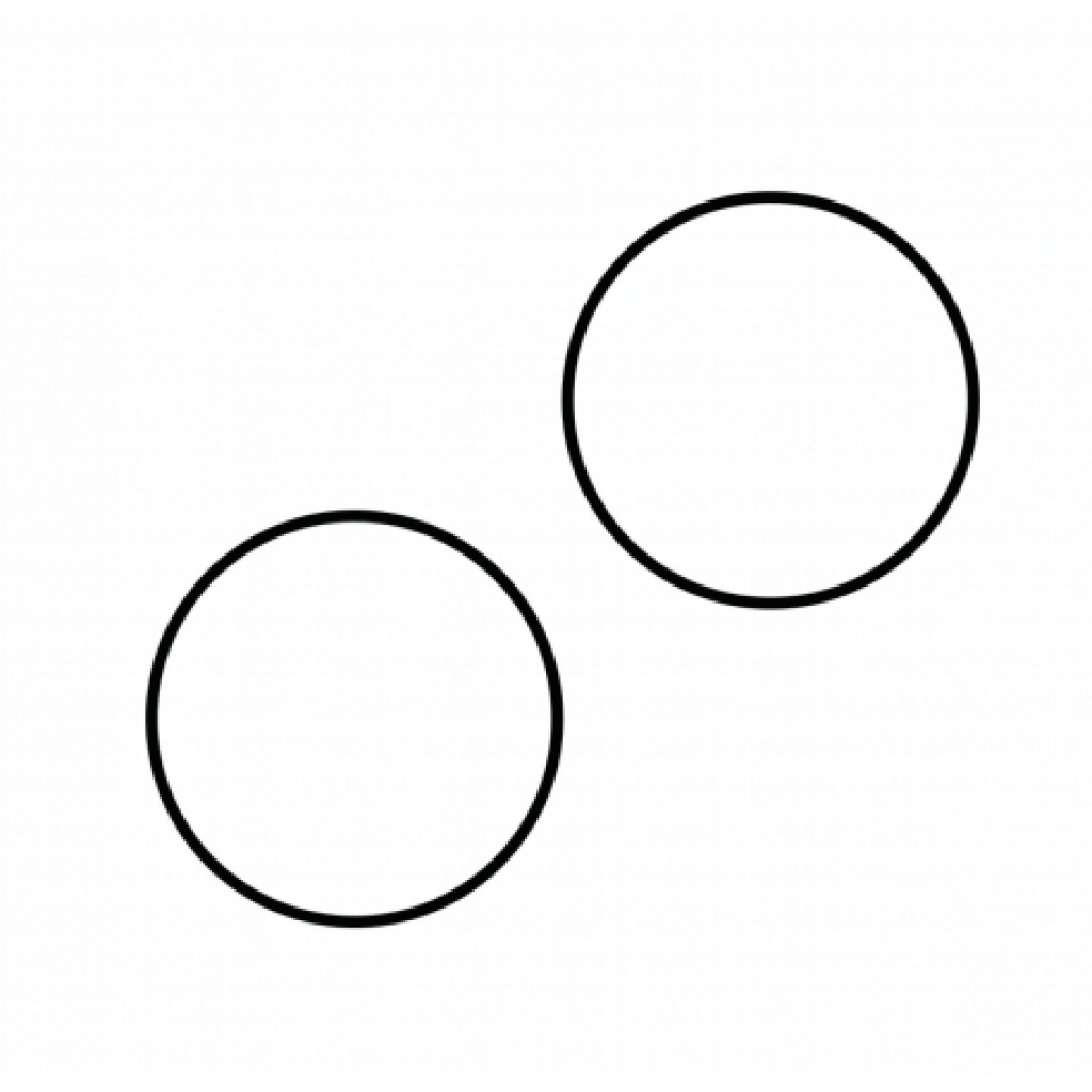 O-Ring Maxi-Jet Micro (2 Stück)
